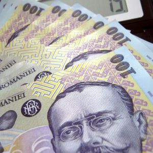 De FSDI poate atârna supravieţuirea sectoarelor strategice din economie