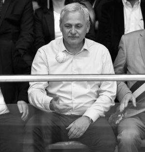 Liviu Dragnea (Sursa foto: Facebook)