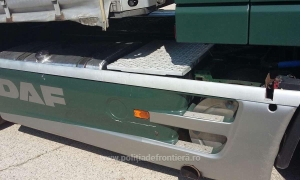 Aproximativ 160 de kilograme de marijuana, confiscate de poliţiştii din Calafat