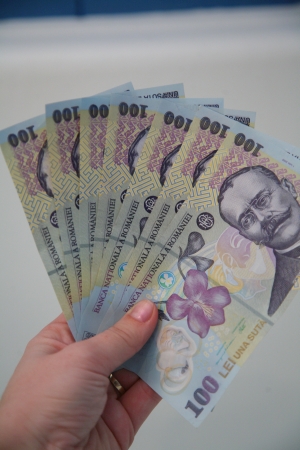 Guvernul anunţă că a completat pârghiile de finanţare dedicate sprijinirii românilor de pretutindeni