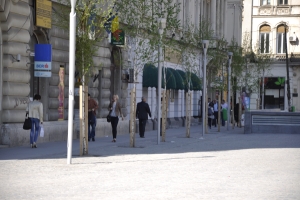MRP va derula o campanie de informare pentru românii care doresc să muncească în afara ţării