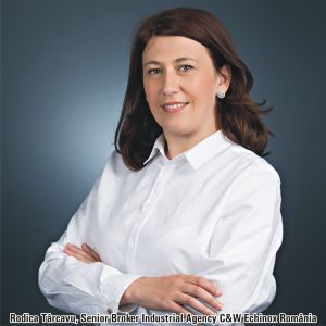 "Piaţa locală a spaţiilor industriale şi logistice va ajunge la 3 milioane metri pătraţi, la finele anului"