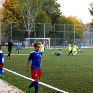 Educaţia a redescoperit sportul