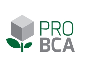 Logo PRO BCA