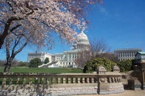 Washingtonul îşi suspendă temporar eliberarea de vize în Rusia