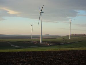 Producătorii de energie eoliană cer autorităţilor mai multă transparenţă în analiza efectuată pe piaţa energiei