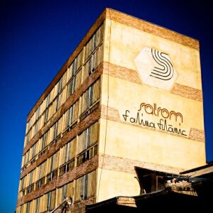 Salrom a obţinut un profit net de peste 47 de milioane de lei