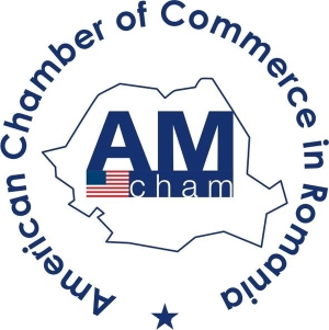 Amcham România cere consultări fundamentale cu toţi vectorii relevanţi