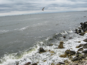 Un vas de marfă s-a rupt în două în Marea Neagră, în largul Istanbulului