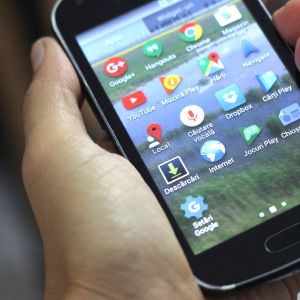 O gospodărie deţinea, în medie, două telefoane mobile