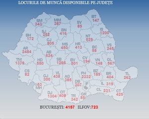 Harta locurilor de muncă disponibile pe judeţe (Sursa foto: ANOFM)