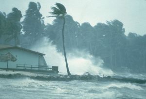 Numărul decesolor provocate de urganul Harvey a urcat la 31