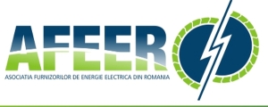 Logo AFEER