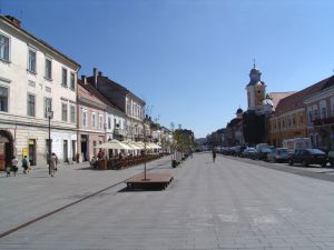 "Dobânzile mici la depozite au reactivat puternic sectorul investiţional din Cluj"