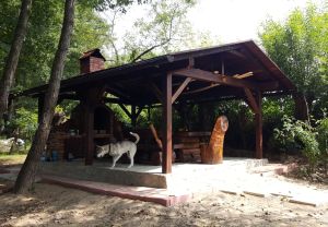 "Piaţa foişoarelor este într-o evoluţie ascendentă, de la an la an"