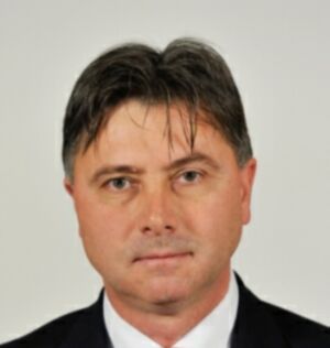 Viorel Ilie (Sursa foto: senat.ro)