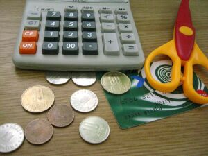 Plata defalcată a TVA, obligatorie doar pentru companiile care au contracte cu statul