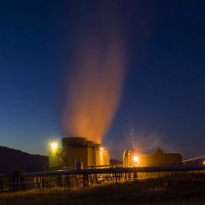 "Avem 31 de milioane tone de biomasă"