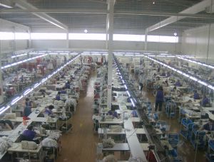 Un număr de 26.757 locuri de muncă vacante la nivel naţional