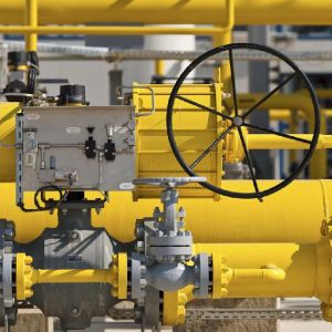 Acţionarii Romgaz, convocaţi pentru selecţia administratorilor provizorii