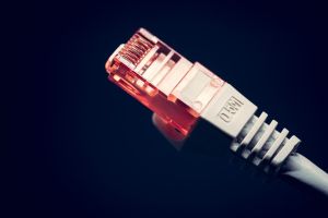 Numărul utilizatorilor de internet a crescut cu 3,8% în acest an 