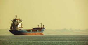 "Coreea de Nord a primit în ultimele luni produse petroliere de la navele ruseşti"