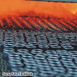 "Sinterom" vrea să facă o investiţie de 3 milioane de euro, cu fonduri europene