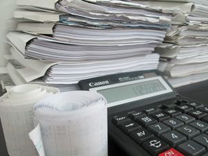 Dănuţa Brebeanu - Copăcel: "Avocaţii, jurnaliştii sau medicii vor achita contribuţiile sociale la nivelul salariului minim"