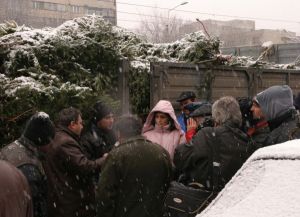 "Numărul pomilor de Crăciun tăiaţi ilegal a scăzut puternic anul trecut"