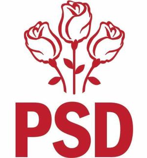 Comitetul Executiv Naţional al PSD se reuneşte luni pentru a stabili componenţa Cabinetului Dăncilă 