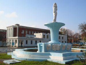 Unul din cei mai importanţi producători români de medicamente generice vrea să îşi deschidă reprezentanţe în Ucraina şi Republica Moldova