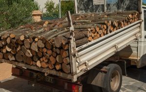 Aproximativ 1.000 de metri cubi de lemn, confiscaţi în acţiuni ale Poliţiei