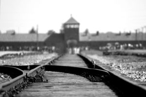 Prim-ministrul polonez spune că evreii s-au numărat printre autorii Holocaustului