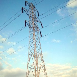 "Cheltuieli fără bază legală pentru înfiinţarea unei societăţi în Republica Unită Tanzania"
