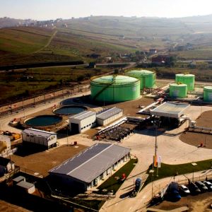 OMV va câştiga o concesiune petrolieră în Abu Dhabi 