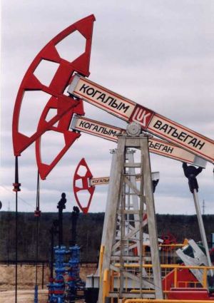 Grupul petrolier rus Lukoil, a raportat astăzi un profit net de 7,26 miliarde de dolari 