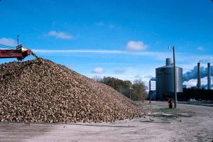 MADR a încheiat procedura de recunoaştere a fabricilor de zahăr