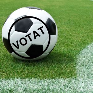 Patru candidaţi pentru un scaun "sportiv" cu proptele politice