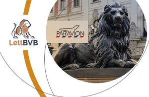 Bursa de Valori Bucureşti (BVB) împreună cu Paravion au lansat, în ianuarie 2017, concursul "Leii BVB", pentru investitorii de retail.