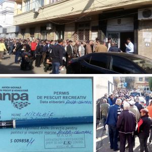 Permise gratuite în coadă de... peşte