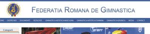 Cazul "Drăgulescu", rezolvat cu ameninţări şi o amendă