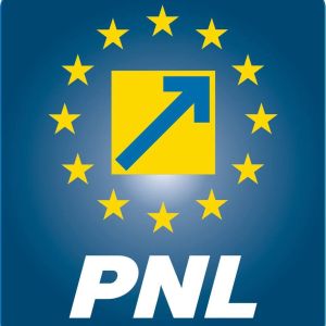 Voi propune ca PNL să constituie o alianţă 