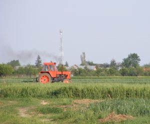 Agricultura "îmbătrâneşte"