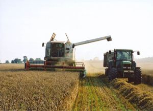 "Executivul vrea ca sectorul agricol să devină motor de creştere economică"
