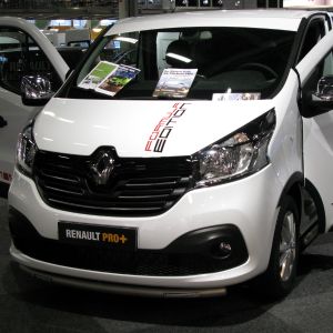 Alianţa Renault-Nissan, revizuită până în 2022
