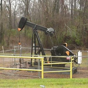 OPEC estimează că cererea de petrol va rămâne ridicată 
