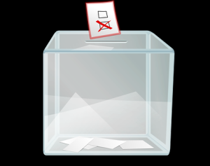 "Dispunem renumărarea manuală a voturilor"