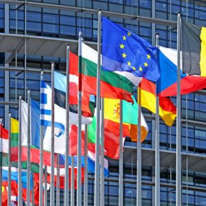 CE verifică regresul ţării noastre în aplicarea MCV