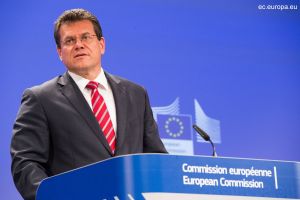 Maro¹ ©efèoviè (Sursa foto: Twitter)