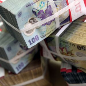 Ministerul Finanţelor a atras 30 de milioane de lei de la bănci